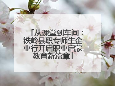 从课堂到车间：铁岭县职专师生企业行开启职业启蒙教育新篇章