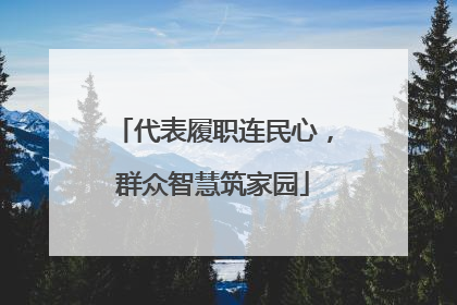 代表履职连民心，群众智慧筑家园