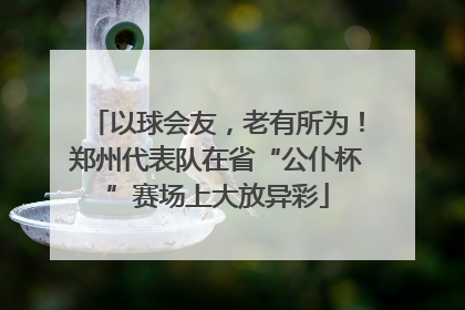 以球会友，老有所为！郑州代表队在省“公仆杯”赛场上大放异彩