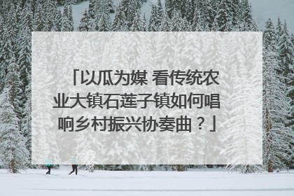以瓜为媒 看传统农业大镇石莲子镇如何唱响乡村振兴协奏曲?