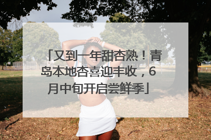 又到一年甜杏熟！青岛本地杏喜迎丰收，6月中旬开启尝鲜季
