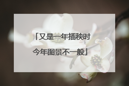 又是一年插秧时 今年图景不一般