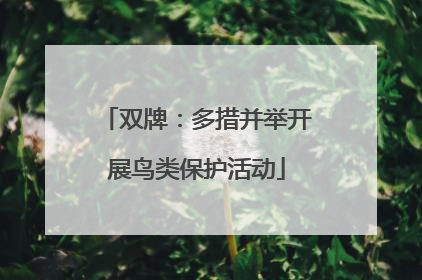 双牌：多措并举开展鸟类保护活动