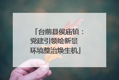 台前县侯庙镇：党建引领绘新景 环境整治焕生机