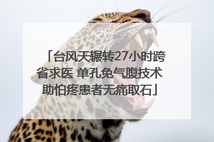 台风天辗转27小时跨省求医 单孔免气腹技术助怕疼患者无痛取石