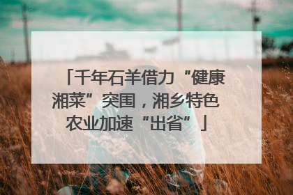千年石羊借力“健康湘菜”突围，湘乡特色农业加速“出省”
