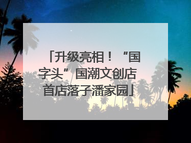 升级亮相！“国字头”国潮文创店首店落子潘家园