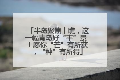 半岛聚焦丨瞧，这一幅青岛好“丰”景！愿你“芒”有所获，“种”有所得
