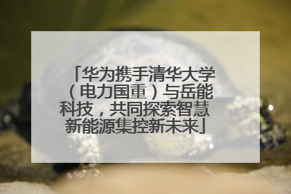 华为携手清华大学（电力国重）与岳能科技，共同探索智慧新能源集控新未来