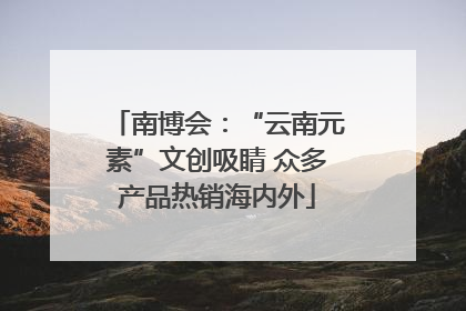 南博会：“云南元素”文创吸睛 众多产品热销海内外