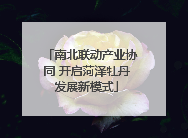 南北联动产业协同 开启菏泽牡丹发展新模式