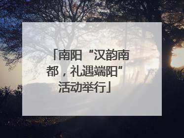 南阳“汉韵南都，礼遇端阳”活动举行