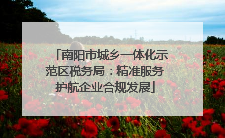 南阳市城乡一体化示范区税务局：精准服务护航企业合规发展