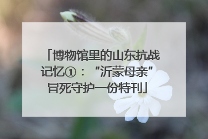 博物馆里的山东抗战记忆①：“沂蒙母亲”冒死守护一份特刊