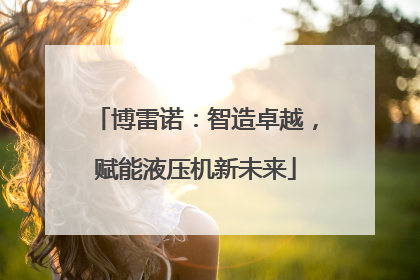 博雷诺：智造卓越，赋能液压机新未来