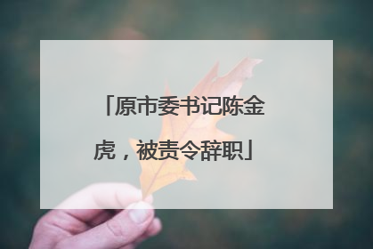 原市委书记陈金虎，被责令辞职