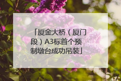 厦金大桥（厦门段）A3标首个预制墩台成功吊装