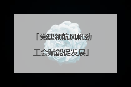 党建领航风帆劲 工会赋能促发展