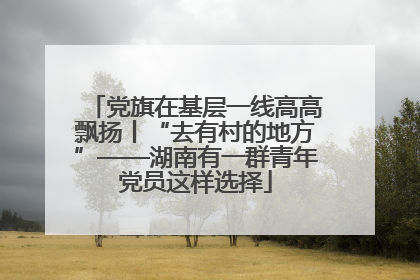 党旗在基层一线高高飘扬丨“去有村的地方”——湖南有一群青年党员这样选择