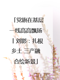 党旗在基层一线高高飘扬丨刘影：扎根乡土 三产融合绘新景