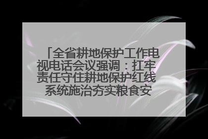 全省耕地保护工作电视电话会议强调：扛牢责任守住耕地保护红线 系统施治夯实粮食安全根基 王宁作出批示 王予波出席并讲话