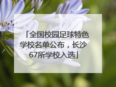 全国校园足球特色学校名单公布，长沙67所学校入选