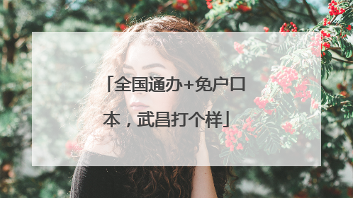 全国通办+免户口本，武昌打个样