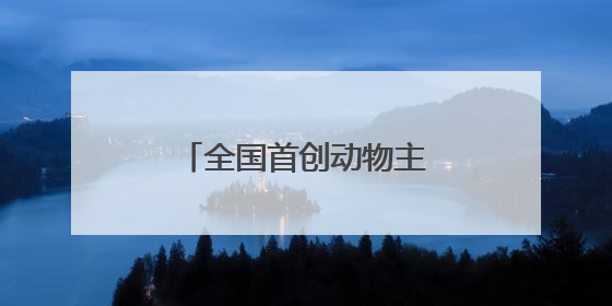 全国首创动物主题市集在哈尔滨极地公园火热开市