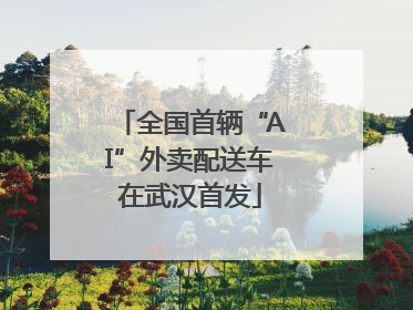 全国首辆“AI”外卖配送车在武汉首发