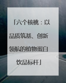 六个核桃：以品质筑基、创新领航的植物蛋白饮品标杆