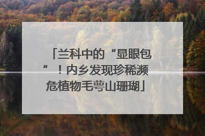 兰科中的“显眼包”！内乡发现珍稀濒危植物毛萼山珊瑚
