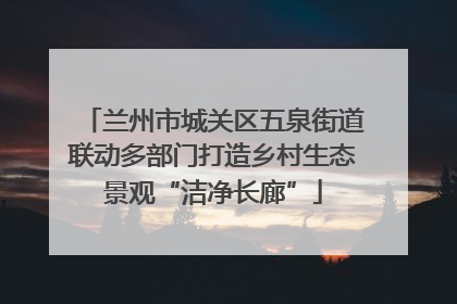 兰州市城关区五泉街道联动多部门打造乡村生态景观“洁净长廊”