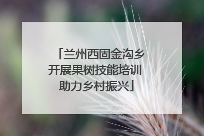 兰州西固金沟乡开展果树技能培训 助力乡村振兴