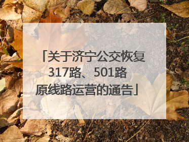 关于济宁公交恢复317路、501路原线路运营的通告