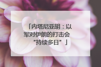 内塔尼亚胡：以军对伊朗的打击会“持续多日”
