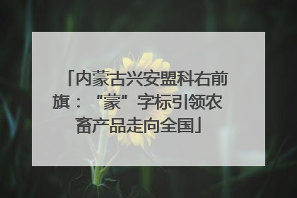 内蒙古兴安盟科右前旗：“蒙”字标引领农畜产品走向全国