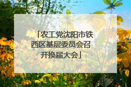 农工党沈阳市铁西区基层委员会召开换届大会