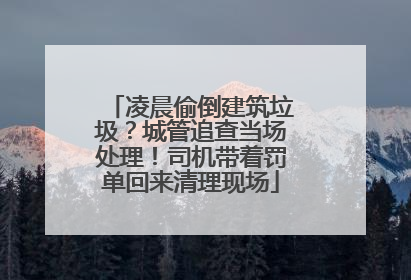 凌晨偷倒建筑垃圾？城管追查当场处理！司机带着罚单回来清理现场