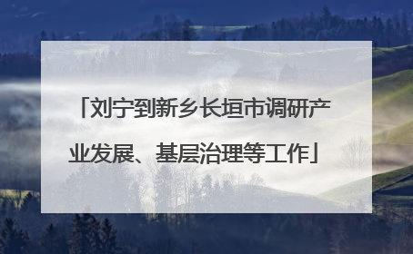 刘宁到新乡长垣市调研产业发展、基层治理等工作