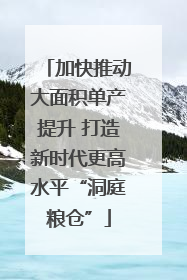 加快推动大面积单产提升 打造新时代更高水平“洞庭粮仓”