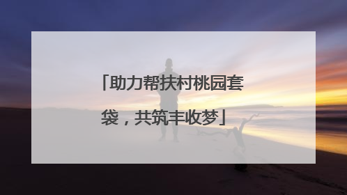助力帮扶村桃园套袋，共筑丰收梦