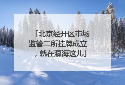 北京经开区市场监管二所挂牌成立，就在瀛海这儿