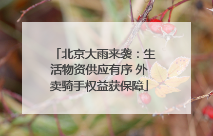 北京大雨来袭：生活物资供应有序 外卖骑手权益获保障