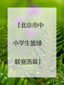 北京市中小学生篮球联赛落幕