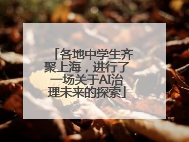 各地中学生齐聚上海，进行了一场关于AI治理未来的探索