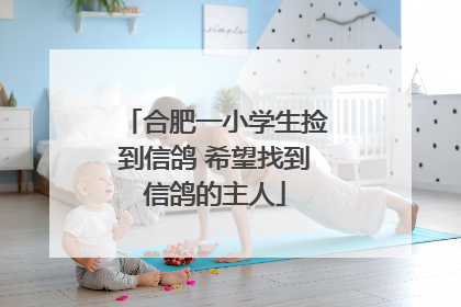 合肥一小学生捡到信鸽 希望找到信鸽的主人