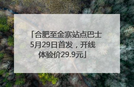 合肥至金寨站点巴士5月29日首发，开线体验价29.9元