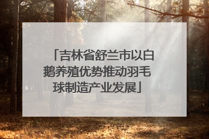 吉林省舒兰市以白鹅养殖优势推动羽毛球制造产业发展