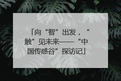 向“智”出发，“触”见未来——“中国传感谷”探访记