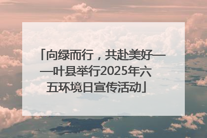 向绿而行，共赴美好——叶县举行2025年六五环境日宣传活动